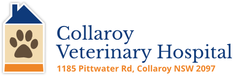 Collaroy Veterinary Hospital